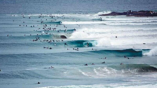 Surfing Crowded Line Up